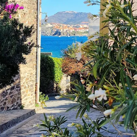 2Terimp204 T2 Neuf Avec Terrasse Climatisation Et Parking Collioure Apartment Exterior photo