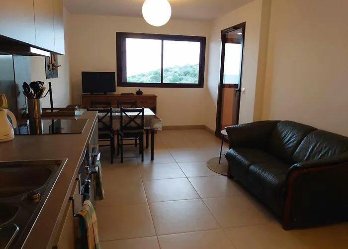 2Terimp204 T2 Neuf Avec Terrasse Climatisation Et Parking Collioure