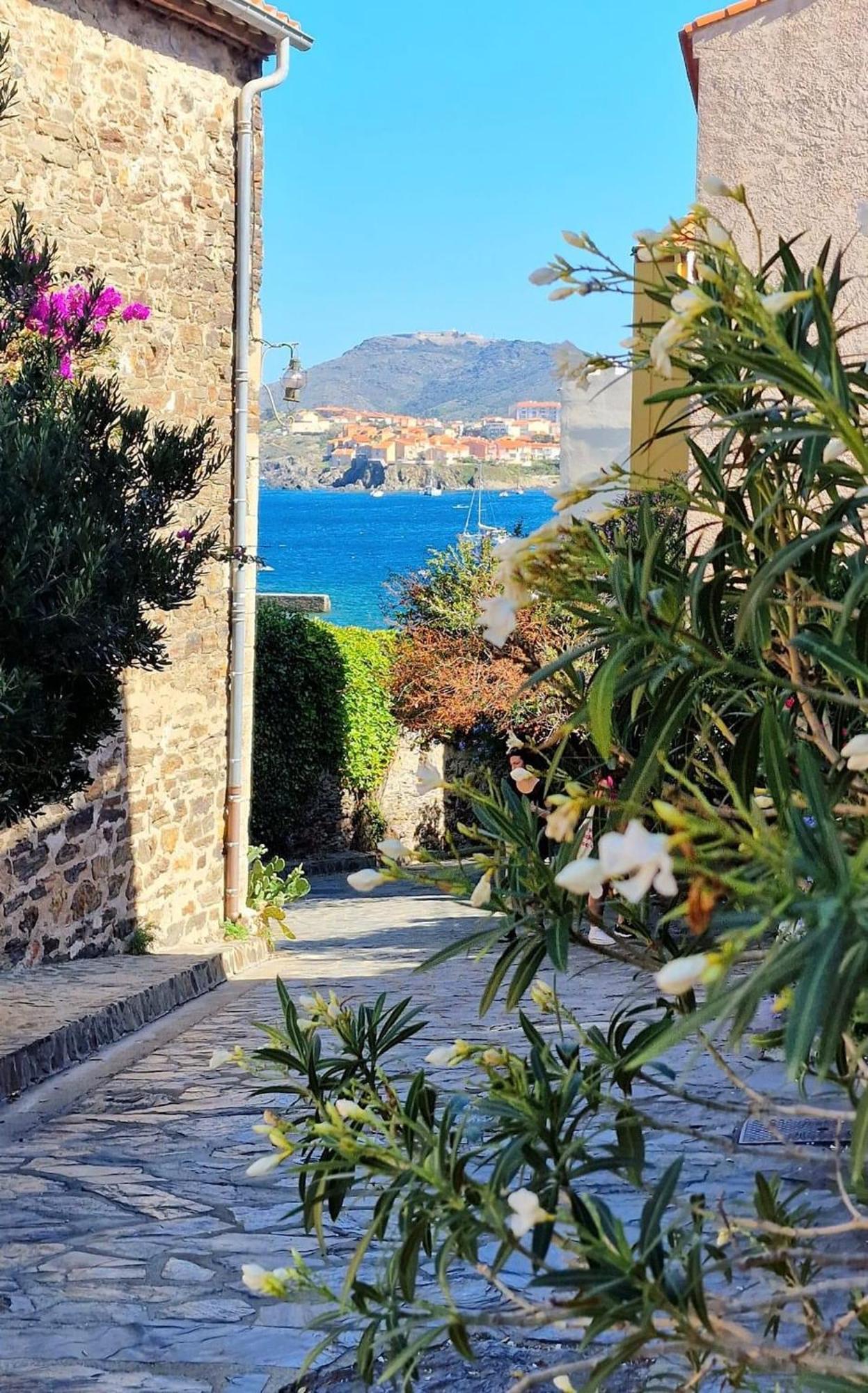 2terimp204 T2 Neuf Avec Terrasse Climatisation Et Parking Apartment Collioure